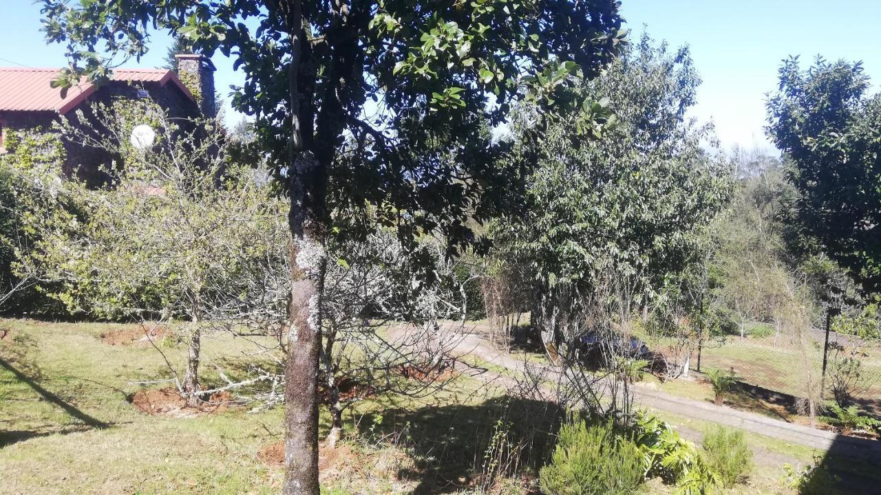 Chalet Pico Das Pedras Santana  Exterior photo