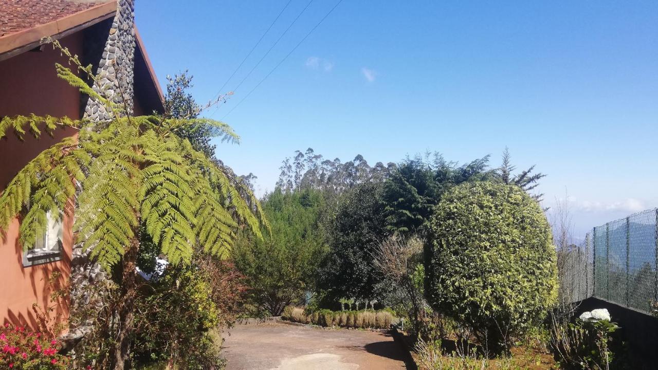 Chalet Pico Das Pedras Santana  Exterior photo