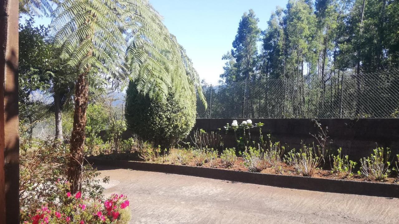 Chalet Pico Das Pedras Santana  Exterior photo
