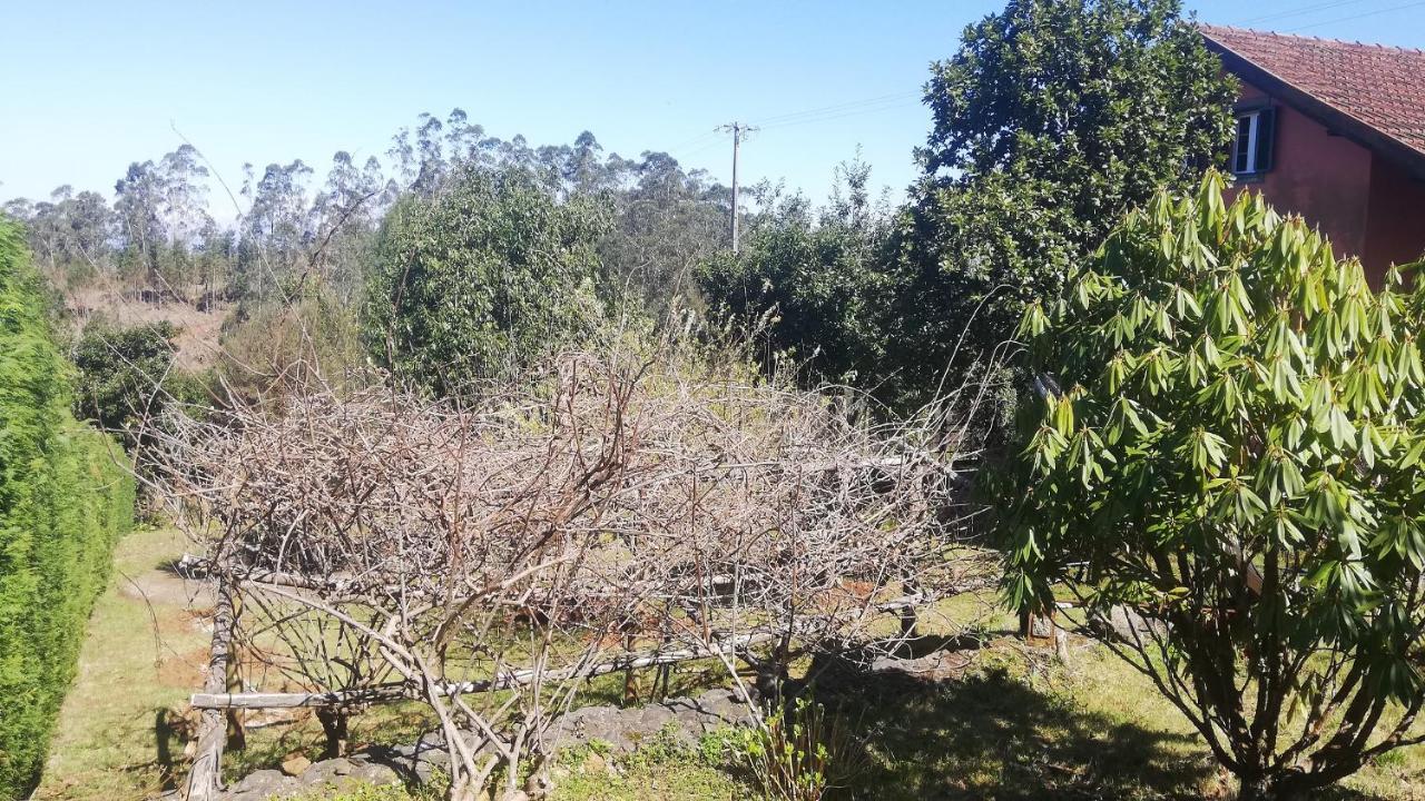 Chalet Pico Das Pedras Santana  Exterior photo