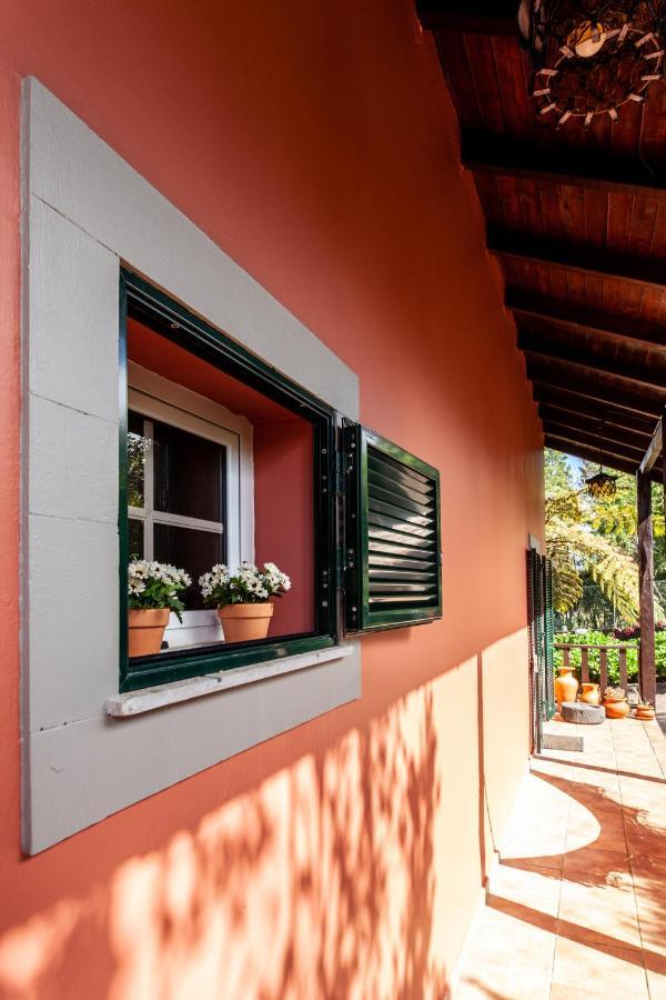 Chalet Pico Das Pedras Santana  Exterior photo