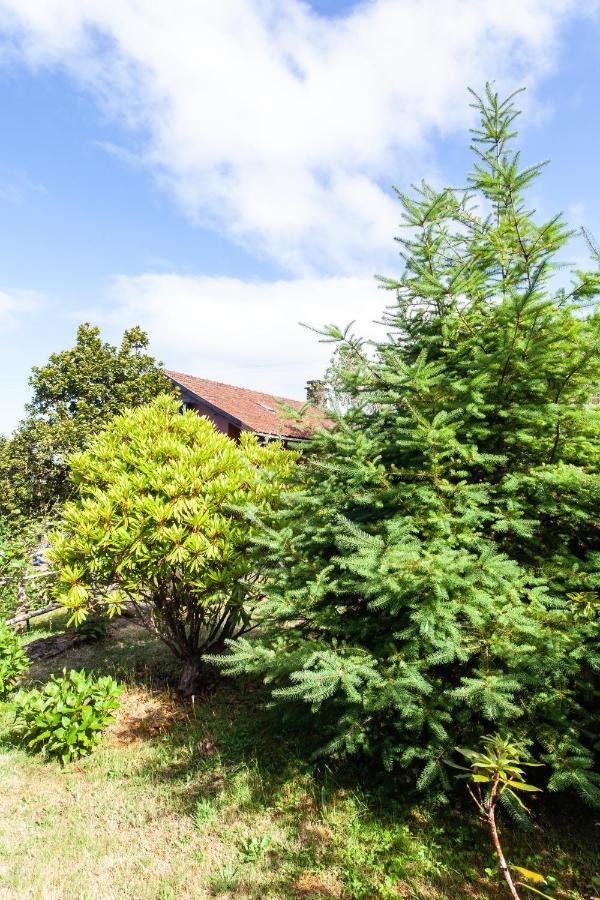 Chalet Pico Das Pedras Santana  Exterior photo